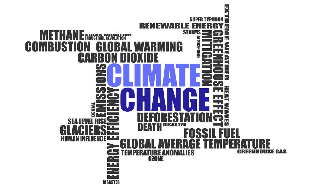 Climate Change Effects in 2021:  Devastating Results of Global Warming!