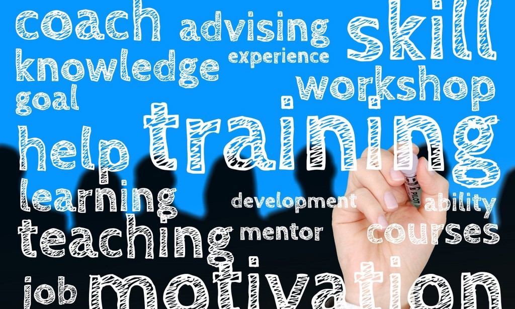 How to improve productivity in an organization