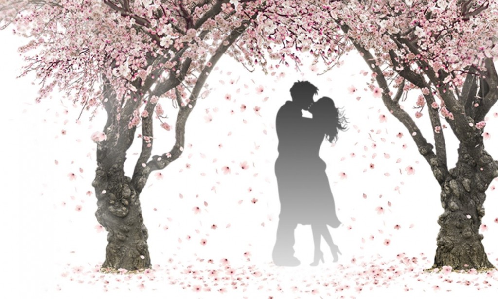 Top 5 Flowers to Impress your girlfriend