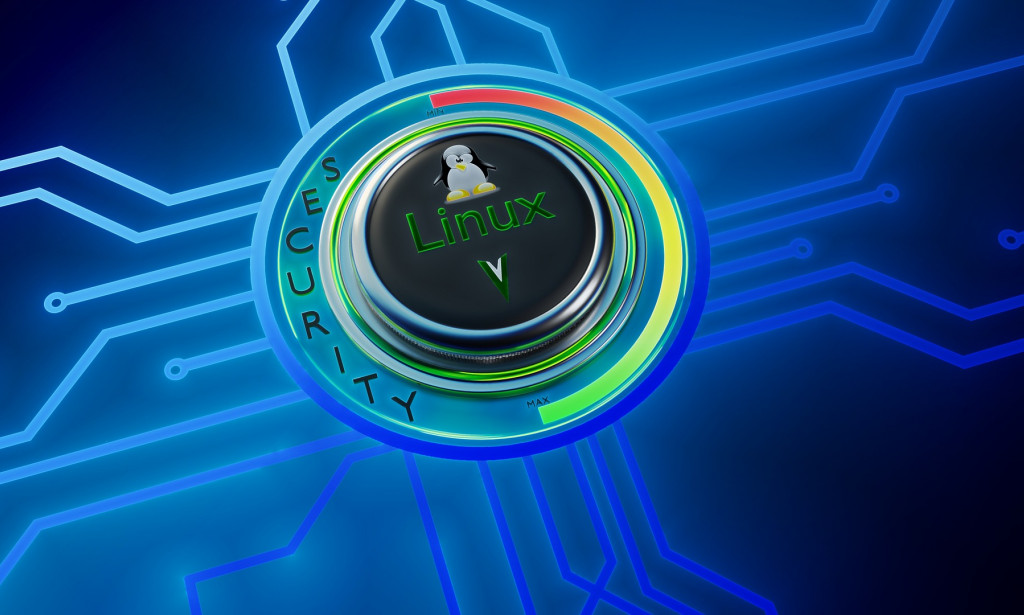 Linux Hosting and Window Hosting, which one is best