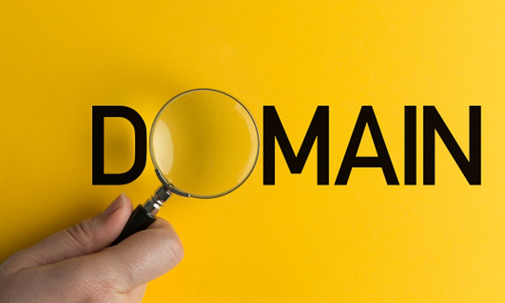 What is the Redemption period in domain hosting?