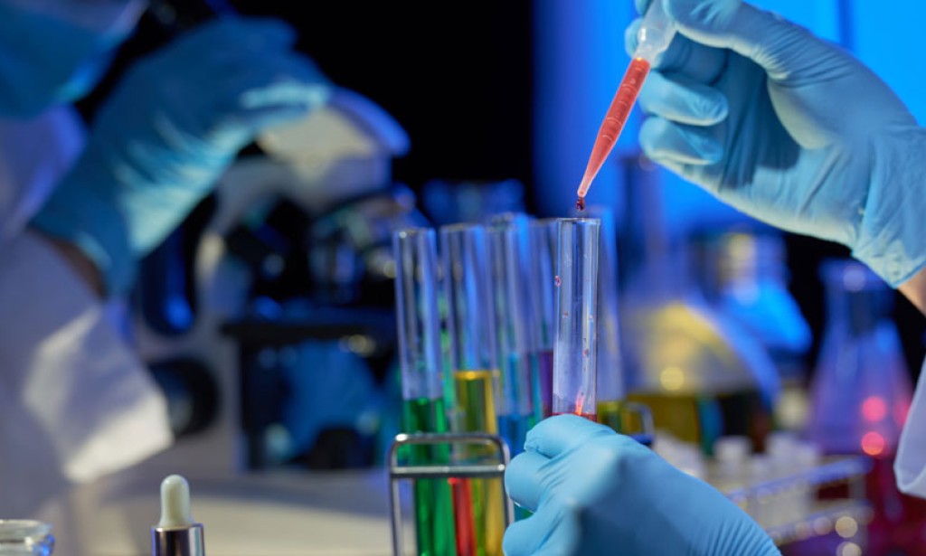 Biotechnology: A Journey Through Innovation and Transformation