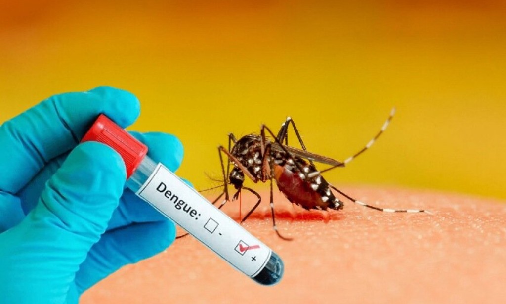 Dengue raised in Pakistan 2022; Cause, Prevention and Home remedies