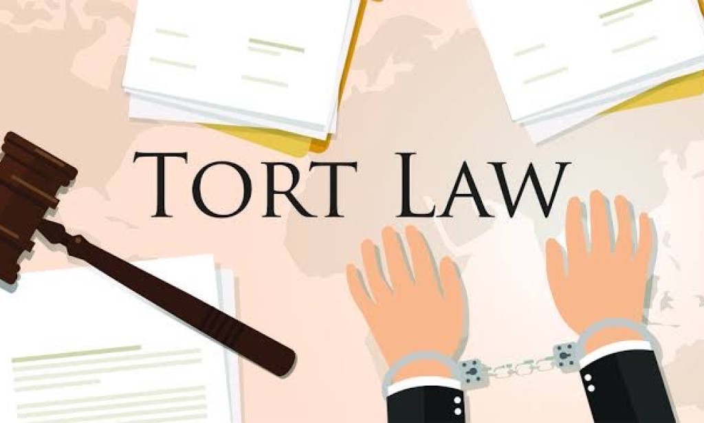 WHAT IS TORT? THE LAW OF TORT IN PAKISTAN.