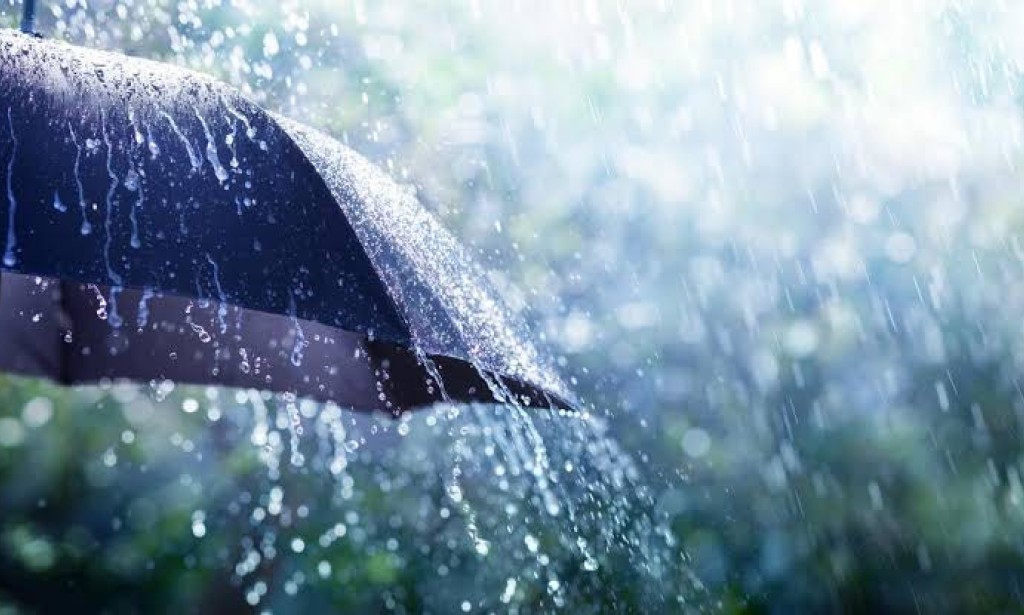 ADVANTAGES AND DISADVANTAGES OF RAIN