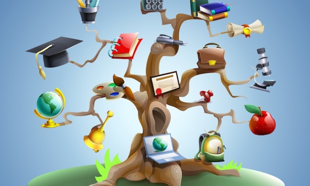 The Dynamic Interplay of Education and Learning: Nurturing Minds for the Future