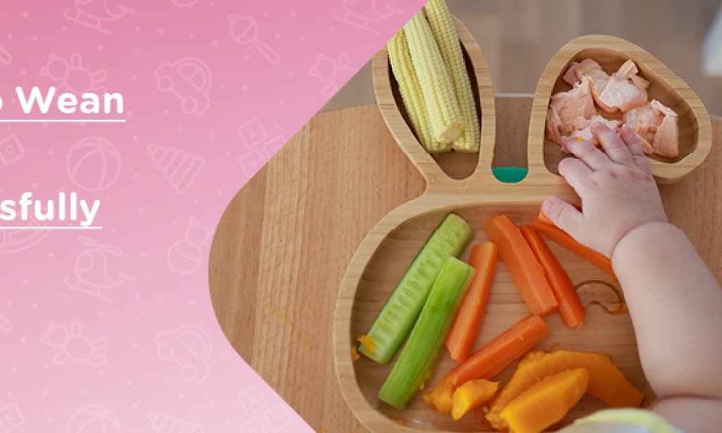 Guiding Your Little One's Journey: A Comprehensive Guide to Newborn Weaning