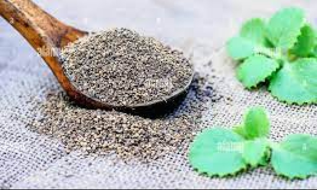 The Magic of Aqua Ajwain: Unveiling the Wonders of Water Oregano