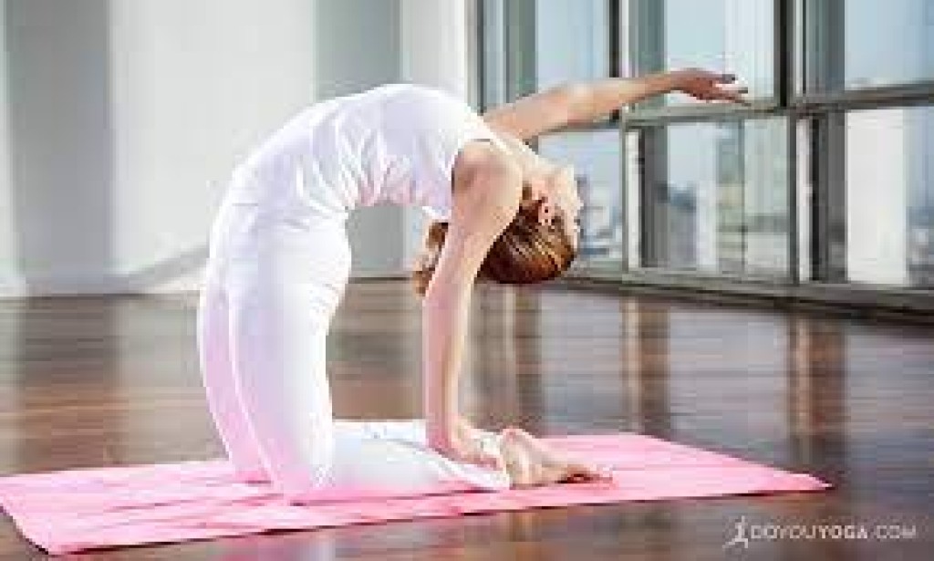 Revive Your Daily practice: The Force of Yoga in Wellness Regimens