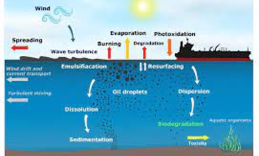 Reasons Of Failure Of British Oil Spill