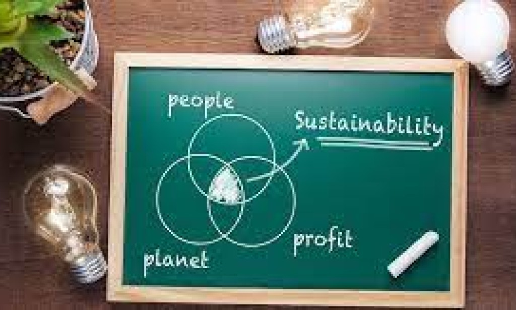 Driving Change: The Growing Significance of Sustainability in Business