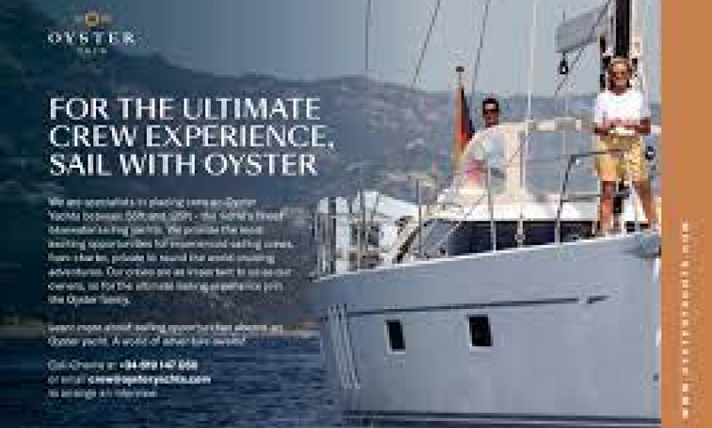 Riding the Waves: Aqua Boxing Gloves Sailing Strong in the Business Waters