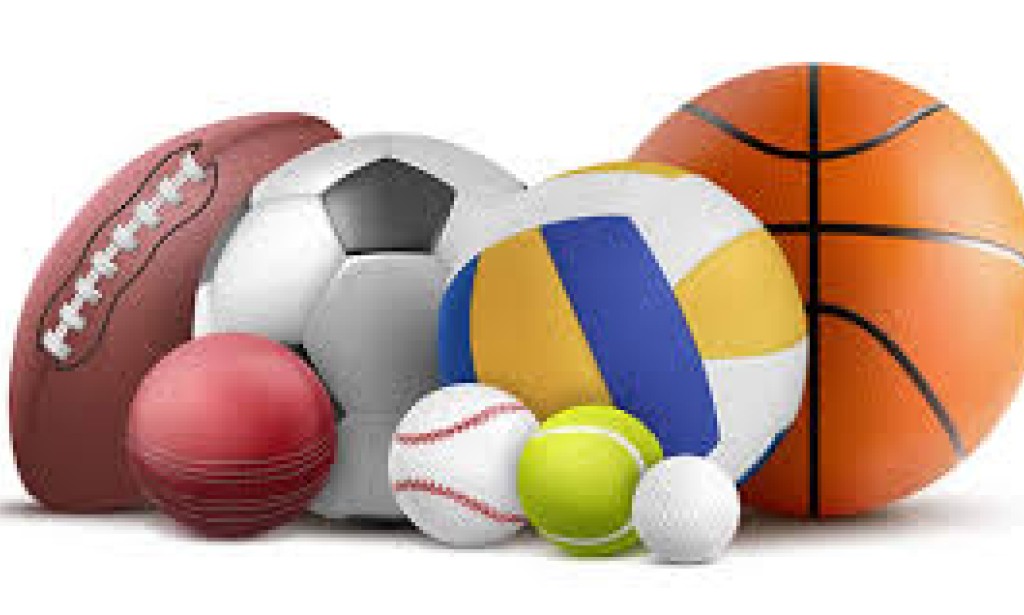 Exploring Various Sports and Games: A Beginner's Guide