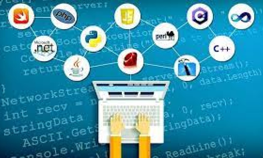 Navigating the World of Software Development: A Beginner's Guide