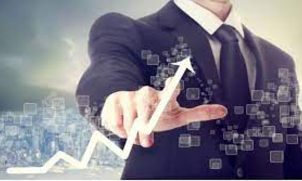 Empowering Growth: Exploring the Role of Business Development Institutes