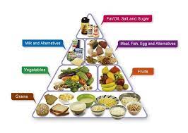 Student Health Service - Vegetarian Diet and Nutrition