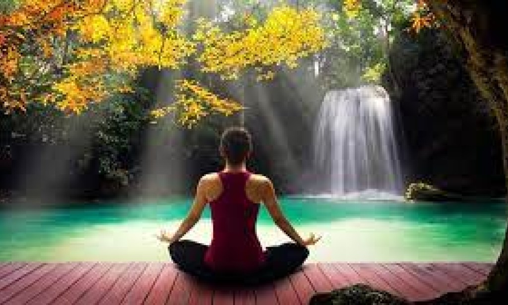 Embracing Wellness: Nurturing a Vibrant and Healthy Lifestyle