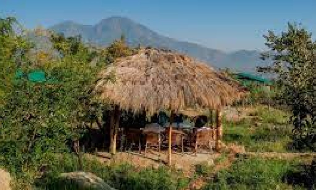 Rooted in Serenity: Embracing the Rural Lifestyle