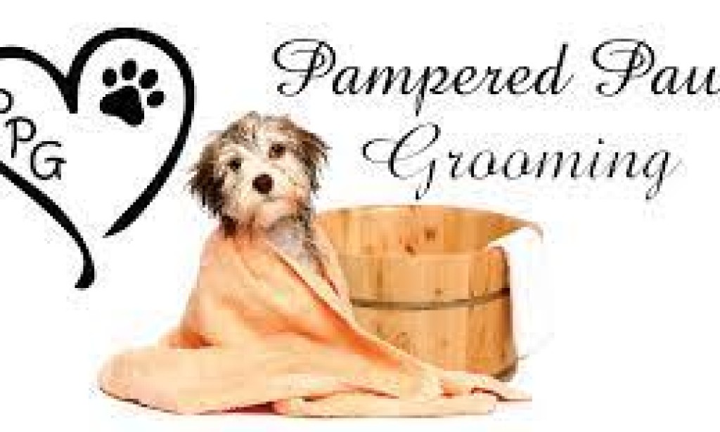 Pampered Paws: The Art and Science of Pet Grooming