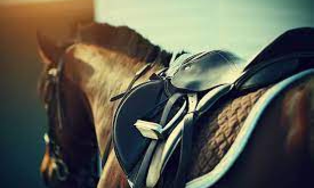 Equine Elegance: Unveiling Essential Horse Riding Gear