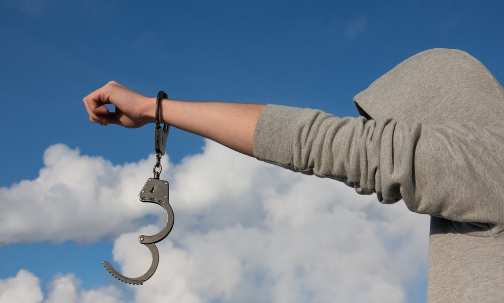 Opportunity and Autonomy: Mainstays of Human Pride