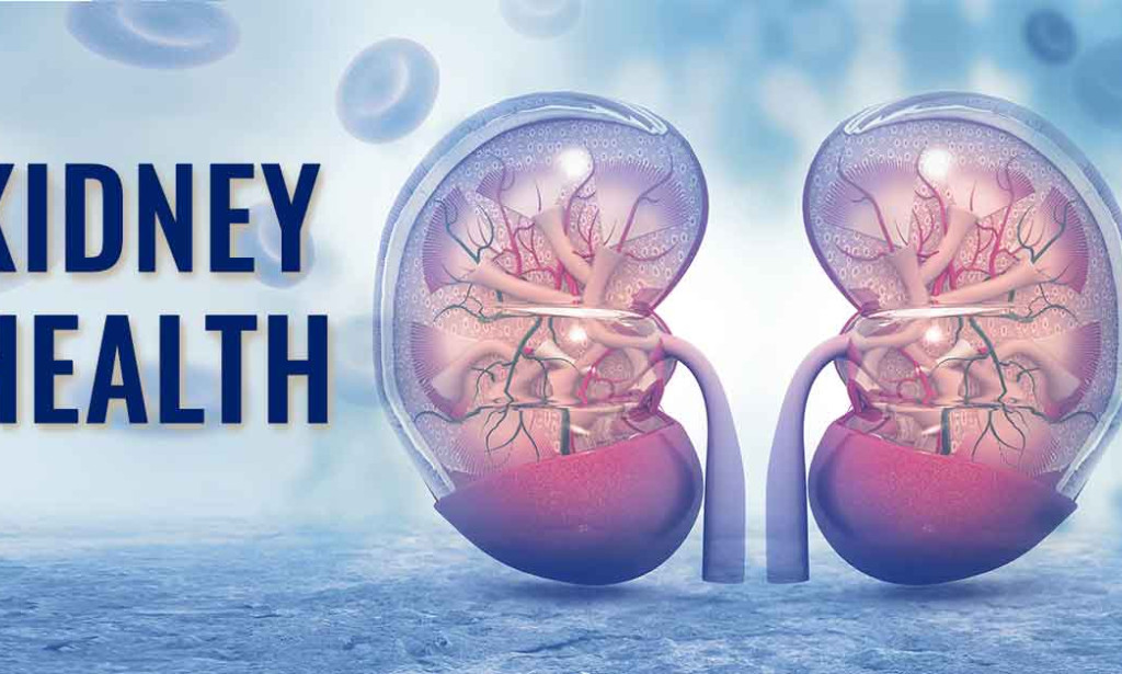 How do you keep your kidneys healthy