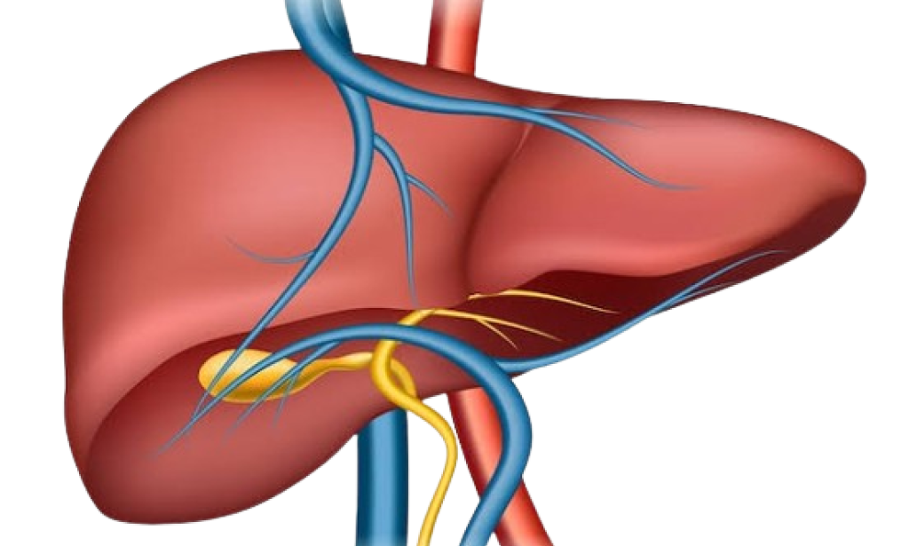 Leavers’ Wellbeing: A Complicated Scene of Weaknesses and Resilience