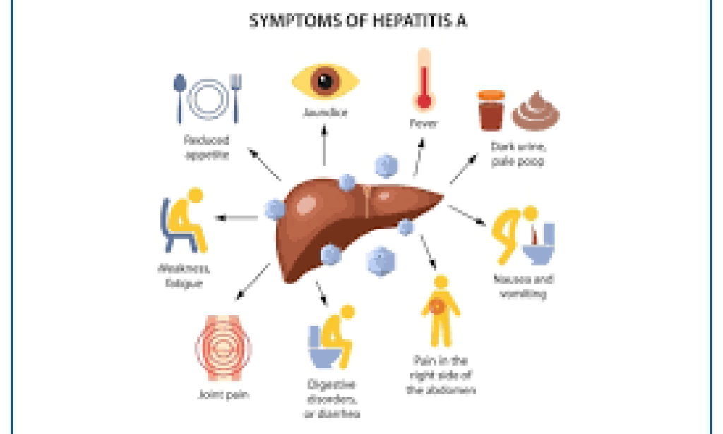 Getting a handle on Hepatitis: Causes, Types, and Evasion