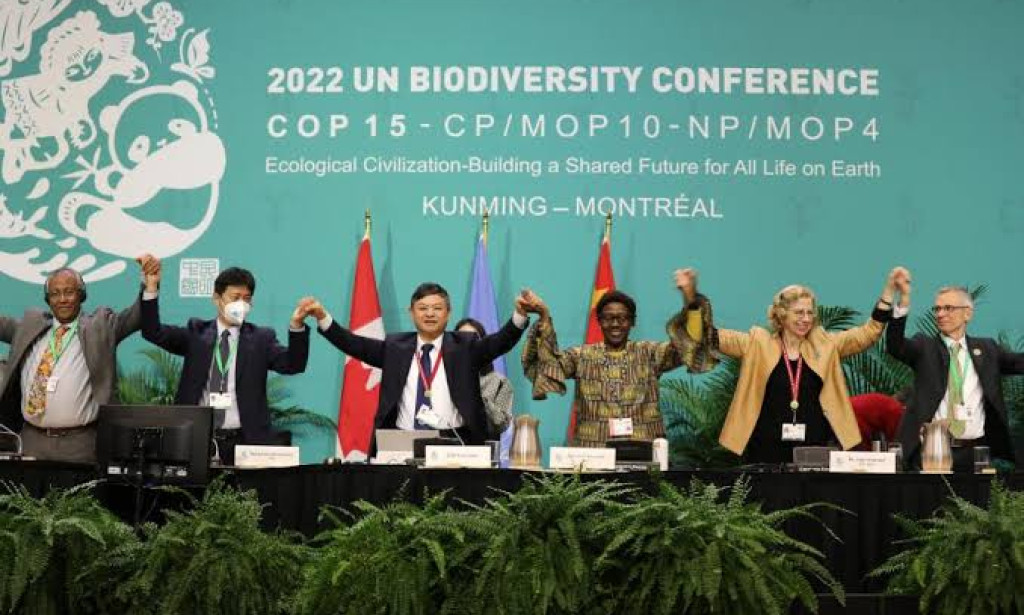 A Nature's High Five: COP16 Secures Landmark Deal to Protect Global Biodiversity