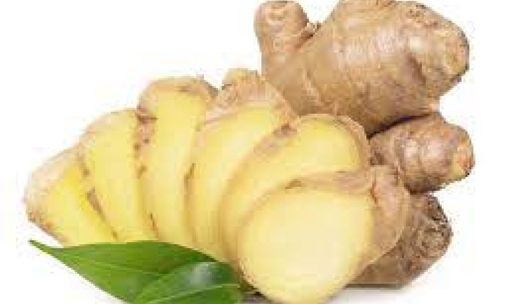 Unveiling the Marvels of Nature: Exploring the Health Benefits of Ginger, Garlic, Lemon, Apple Cider Vinegar, and Honey