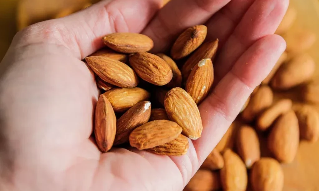 15 Foods High in Vitamin E That Support Immunity and Heart Health