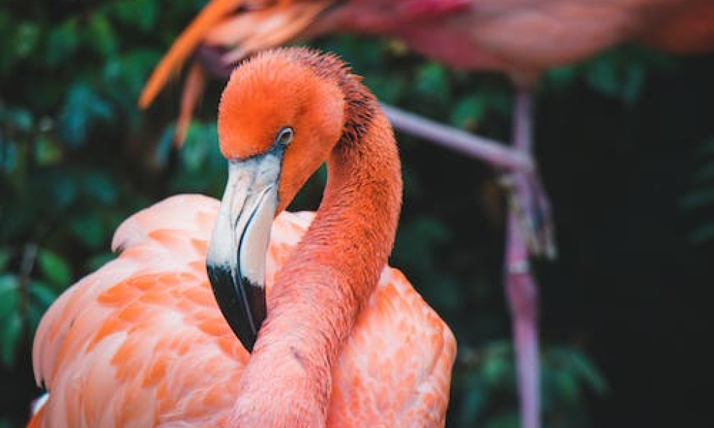 Optimizing Well-Being: A Guide to Human Health