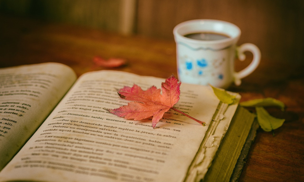 The Transformative Power of Education: Paving the Way for a Better Future