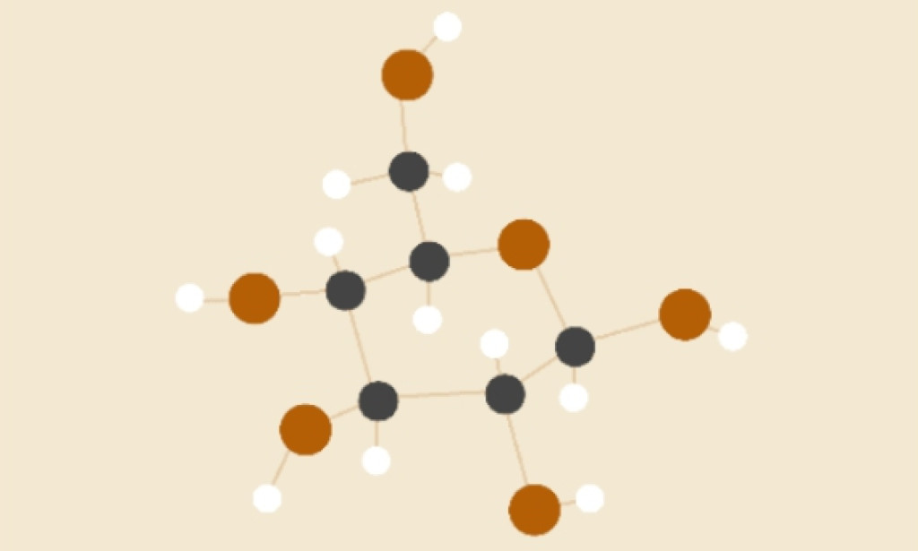 Biology Period 1   Ms. Wendy Writer  Cells Basic Units Of Life