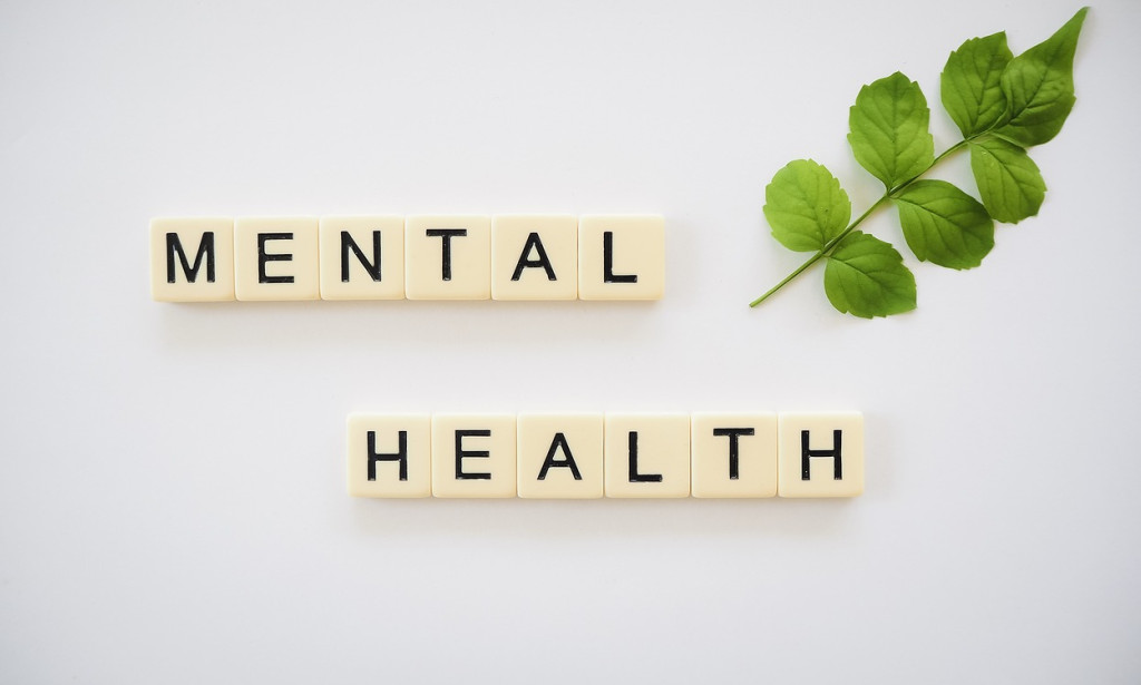 Nurturing Mental Health and Wellness: A Holistic Approach