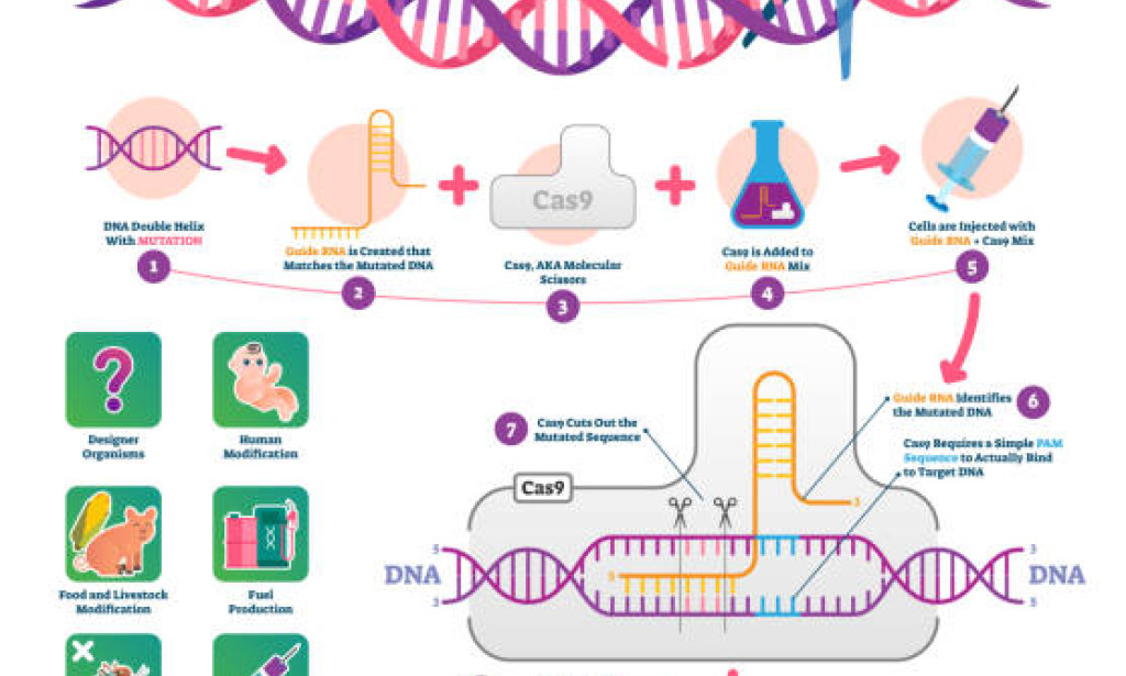 Title:CRISPR Quality Altering: Reforming Medication and Then some