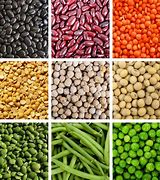 Image result for legumes