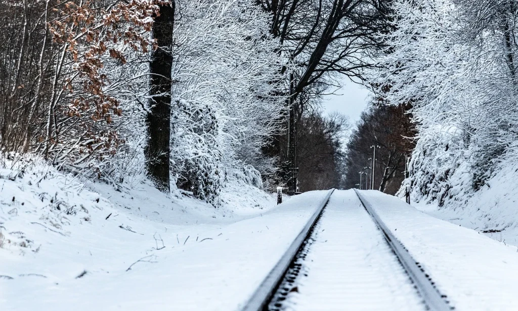 Exploring the Impact of Romanticism on Literature: A Journey through Wordsworth and Shelley