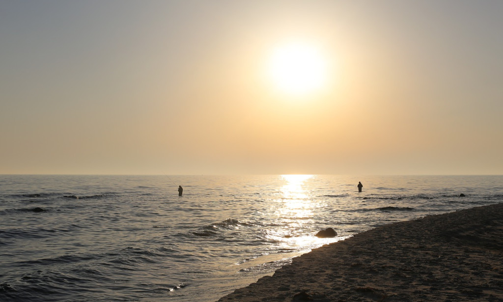 The Vital Requirement for Advanced Detox: Upgrading Academic Achievement