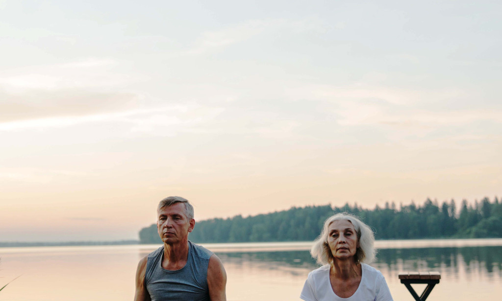 Health Aging: Embracing Sound Growing a Pathway to Satisfaction