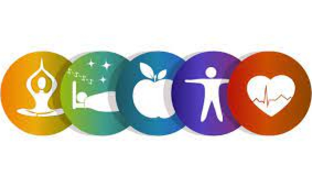 Creating a Comprehensive Solid Daily schedule: An Outline for Prosperity