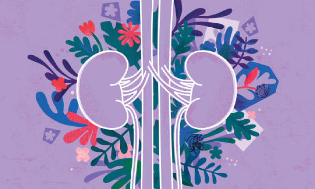 Sorting out Kidney Issues: Causes, Incidental effects, and Medications