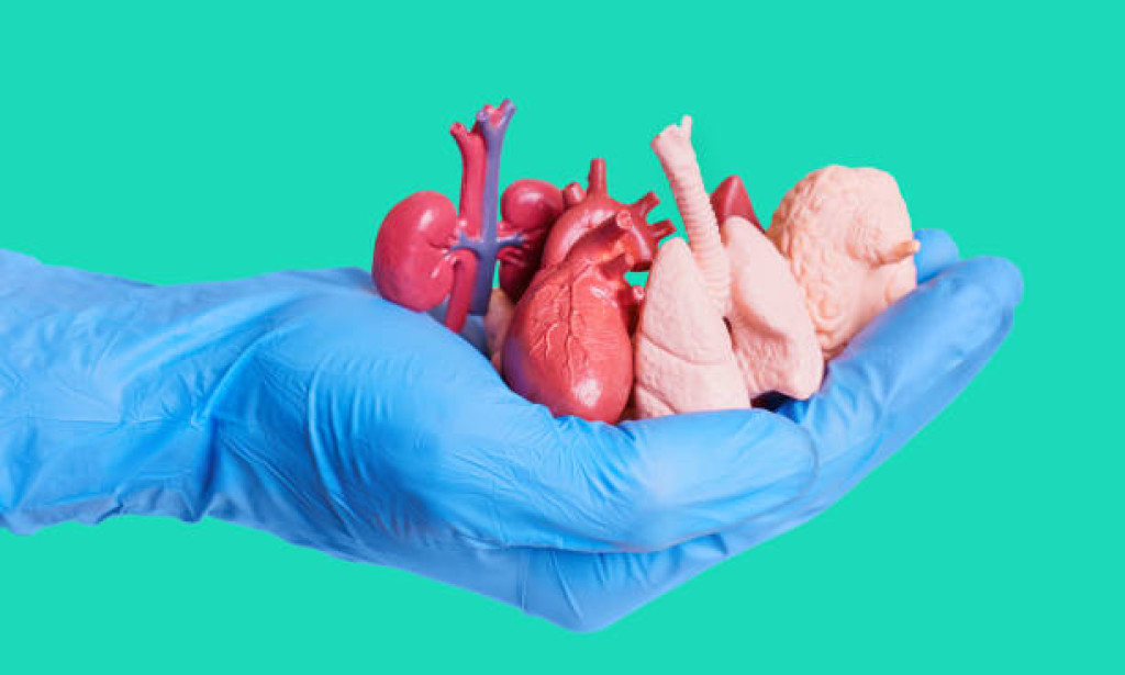 Title: Reforming Medical care: The Commitment of Cell and Tissue Designing