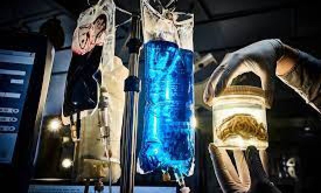 Title: Uncovering the Miracles: Investigating the Wonders of Science Galleries