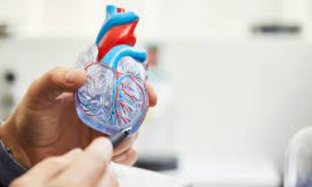 The Calm Risk: Sorting out the Multifaceted design of Coronary sickness