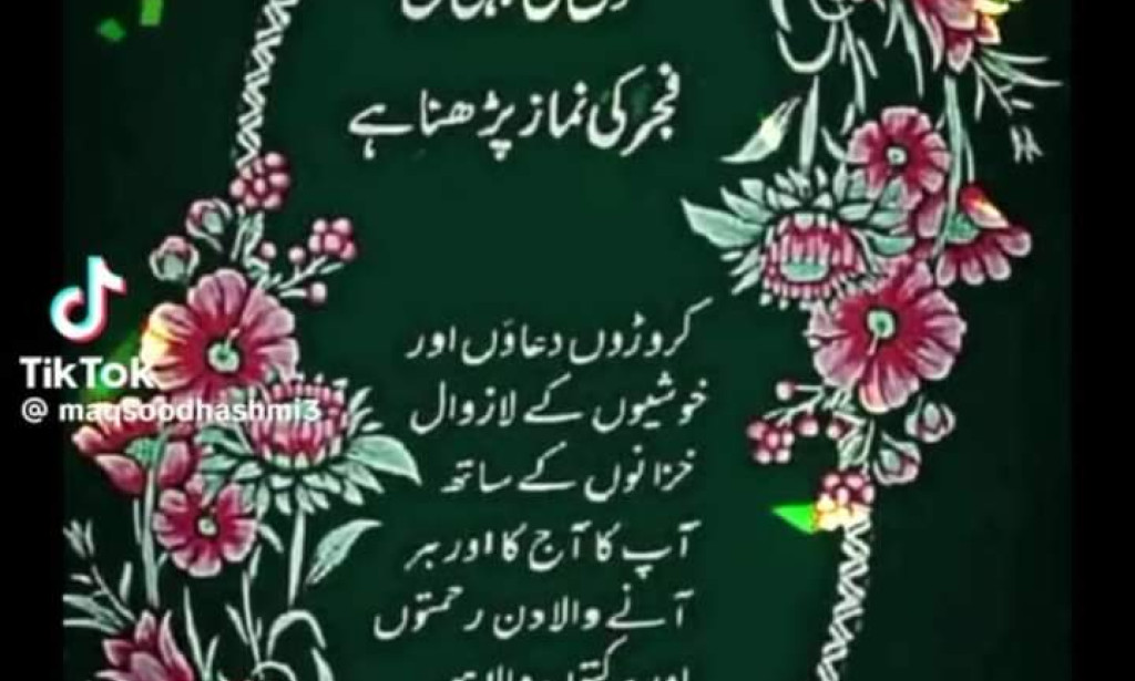 🌸✨🌸✨🌸✨🌸✨🌸✨🌸✨🌸✨🌸✨    For what reason were the tops of the relative multitude of sovereigns of Bahadur Shah Zafar decapitated and introduced before him?        *Why was land not found