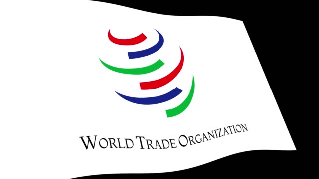 Navigating the Complexities of the World Trade Organization (WTO)