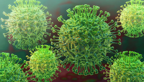 What is Coronavirus