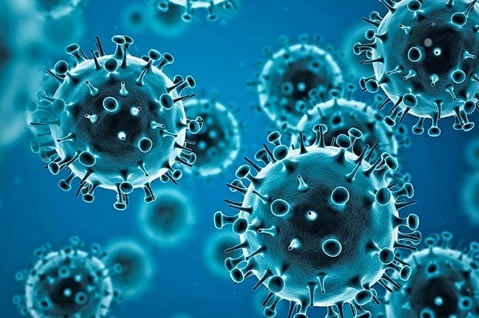 What is Coronavirus