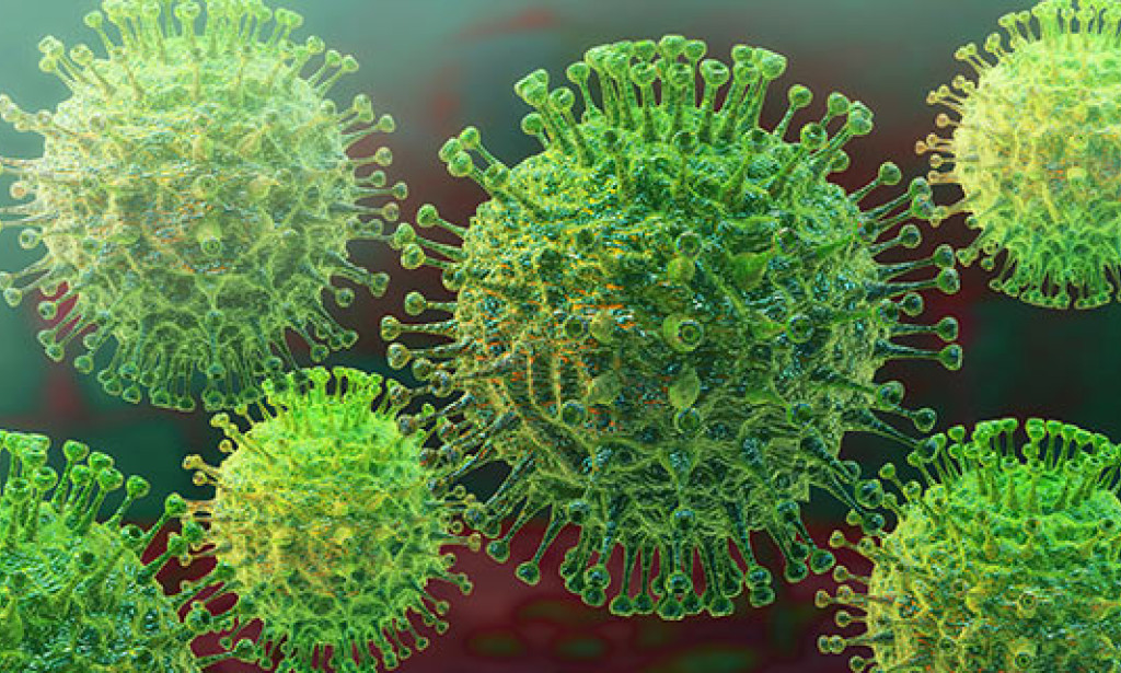 **Understanding the Ongoing Battle Against the Coronavirus Pandemic**